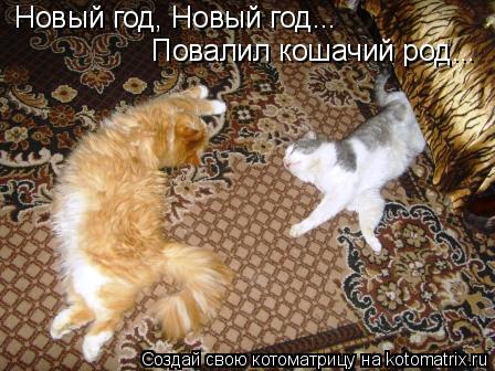 Котоматрица: Новый год, Новый год... Повалил кошачий род...