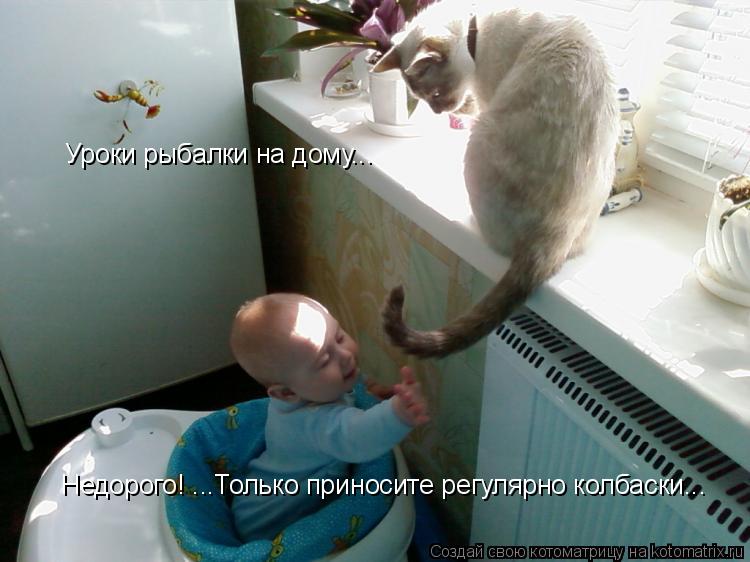 Котоматрица: Уроки рыбалки на дому... Недорого! ...Только приносите регулярно колбаски...