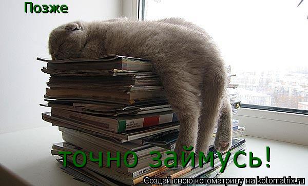 Котоматрица: Позже точно займусь!