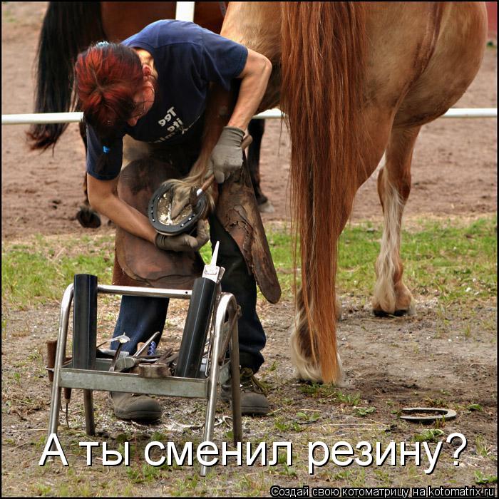 Котоматрица: А ты сменил резину?