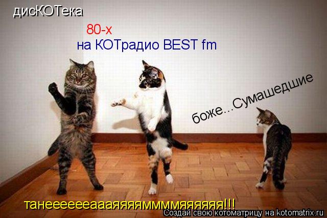 Котоматрица: дисКОТека 80-х на КОТрадио BEST fm танееееееаааяяяяммммяяяяяя!!! боже...Сумашедшие