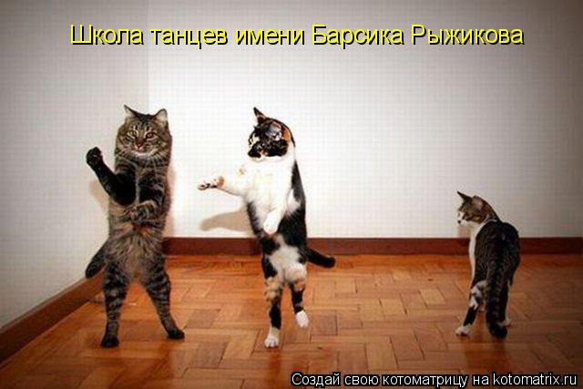 Котоматрица: Школа танцев имени Барсика Рыжикова