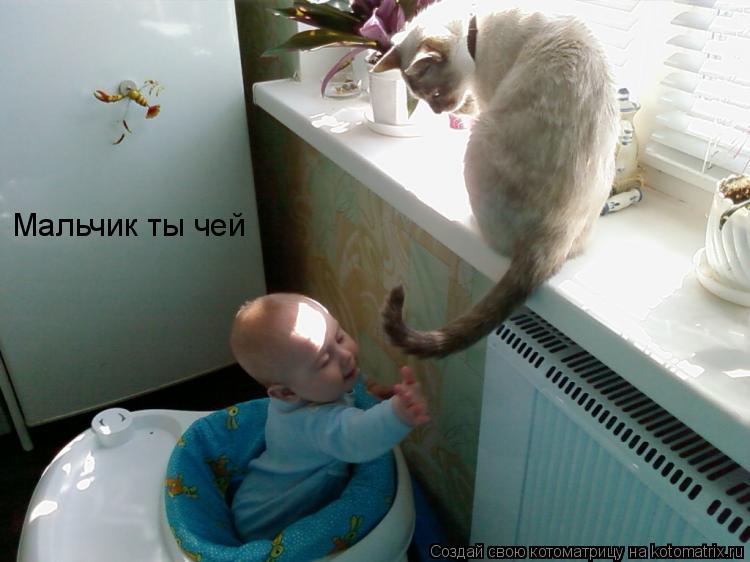 Котоматрица: Мальчик ты чей