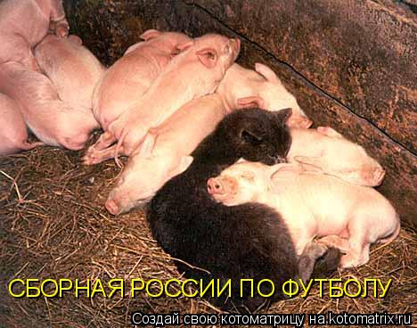 Котоматрица: СБОРНАЯ РОССИИ ПО ФУТБОЛУ