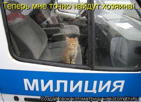 Теперь мне точно найдут хозяина!...... Котоматрица: Теперь мне точно найдут хозяина!...