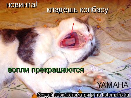 Котоматрица: новинка!  кладешь колбасу ----> вопли прекрашаются YAMAHA