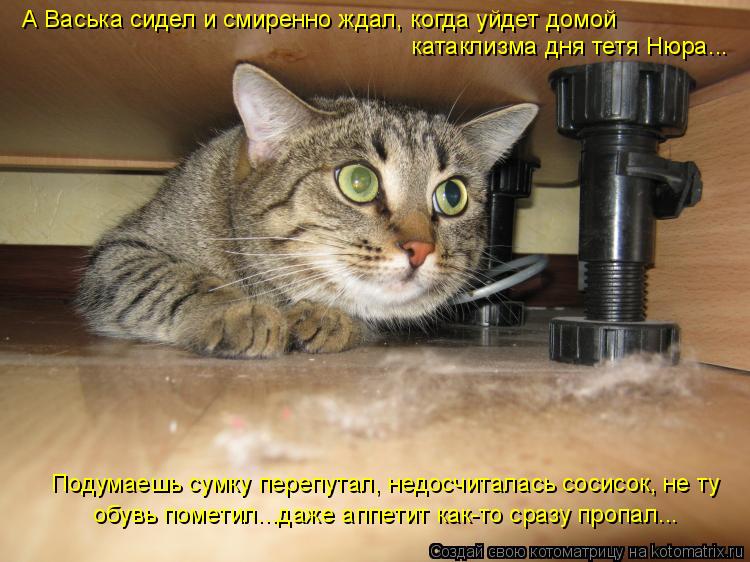 http://kotomatrix.ru/images/lolz/2010/01/09/454464.jpg