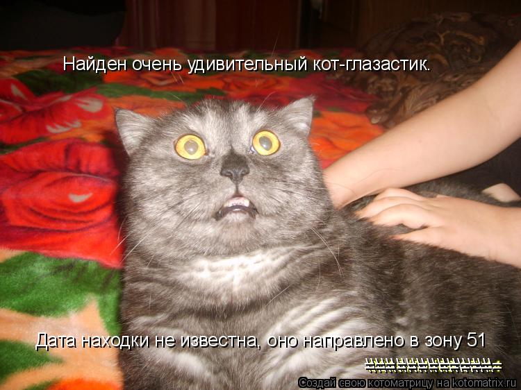 Котоматрица: \\\\\\\\\\\\ ============= Найден очень удивительный кот-глазастик. Дата находки не известна, оно направлено в зону 51