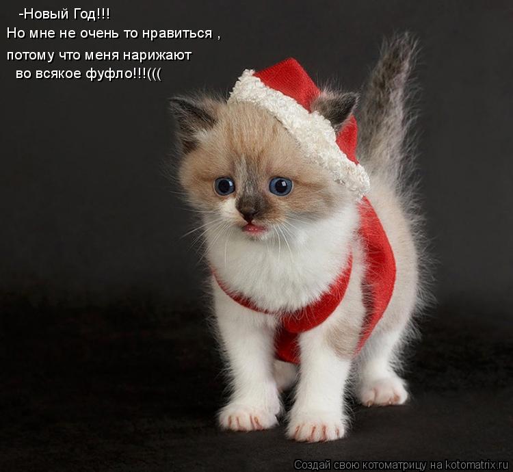 -Новый Год!!! Но мне не очень то нравиться , потому что меня нарижают во всякое фуфло!!!(((... Котоматрица: -Новый Год!!! Но мне не очень то нравиться , потому что меня нарижают во всякое фуфло!!!(((