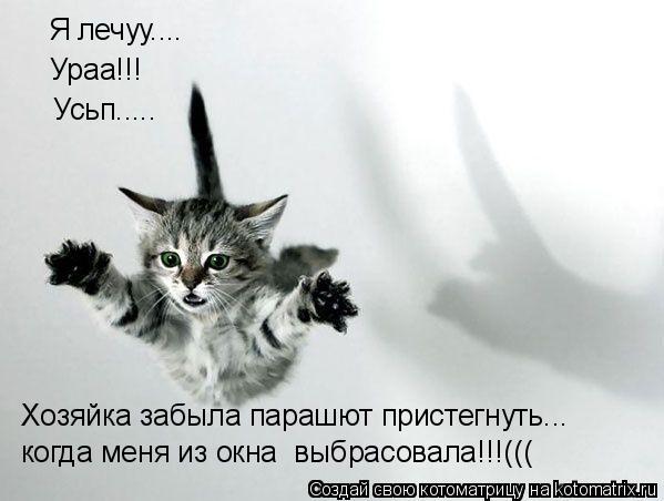 Я лечуу.... Усьп..... Ураа!!! Хозяйка забыла парашют пристегнуть... когда меня из окна выбрасовала!!... Котоматрица: Я лечуу.... Усьп..... Ураа!!! Хозяйка забыла парашют пристегнуть... когда меня из окна выбрасовала!!!(((