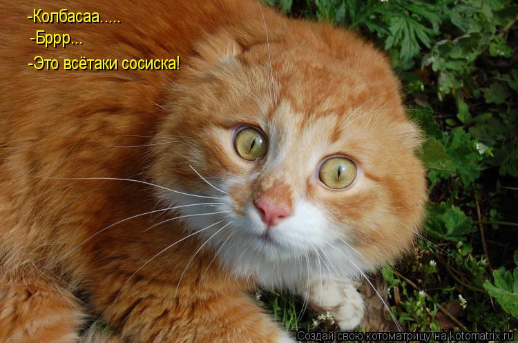 -Колбасаа..... -Бррр... -Это всётаки сосиска!... Котоматрица: -Колбасаа..... -Бррр... -Это всётаки сосиска!