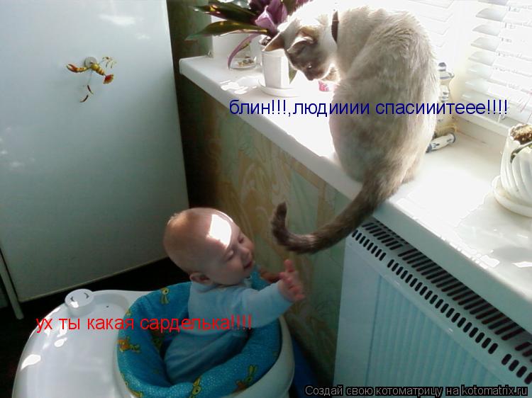 Котоматрица: ух ты какая сарделька!!!! блин!!!,людииии спасииитеее!!!!