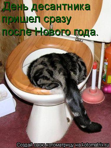 Котоматрица: День десантника  пришел сразу  после Нового года.