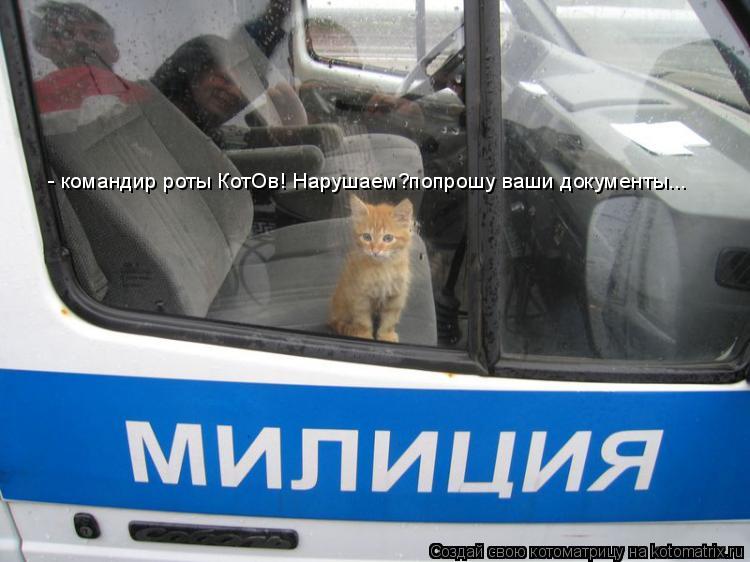 Котоматрица: - командир роты КотОв! Нарушаем?попрошу ваши документы...