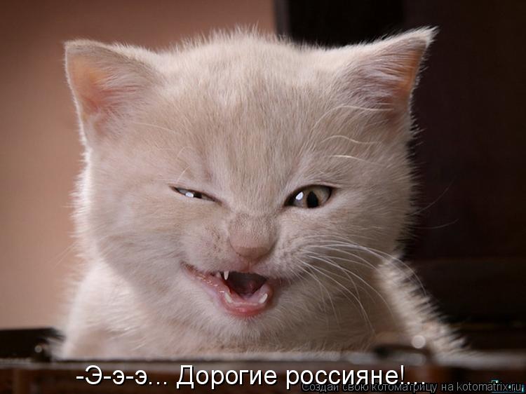 -Э-э-э... Дорогие россияне!...... Котоматрица: -Э-э-э... Дорогие россияне!...