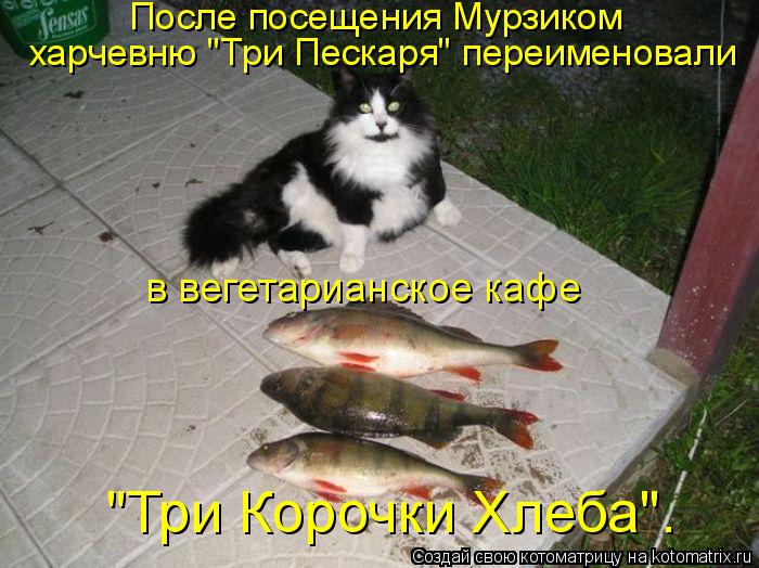 харчевню "Три Пескаря" переименовали После посещения Мурзиком в вегетарианское кафе "Три Корочки Хле... Котоматрица: харчевню "Три Пескаря" переименовали После посещения Мурзиком в вегетарианское кафе "Три Корочки Хлеба".