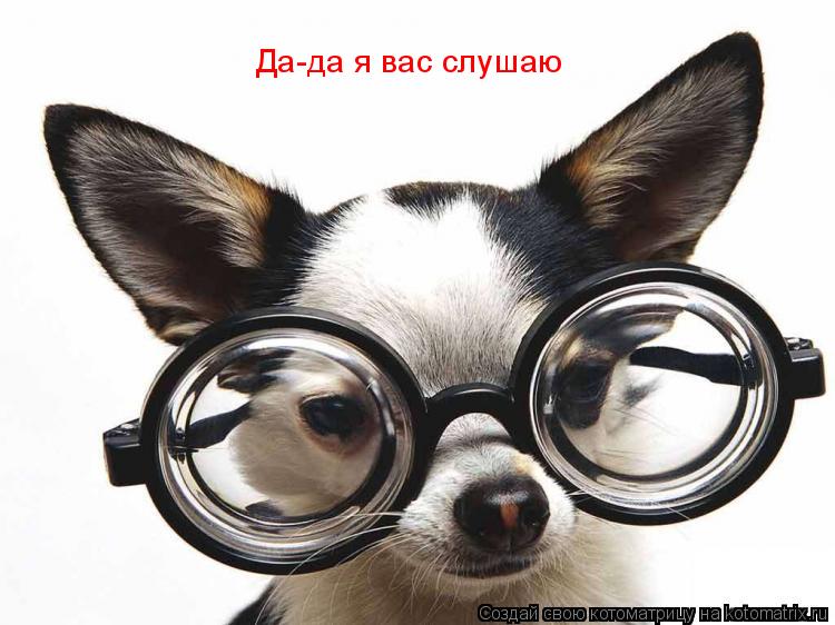 Да-да я вас слушаю... Котоматрица: Да-да я вас слушаю