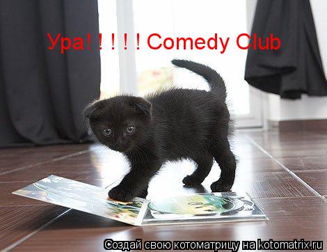 Ура! ! ! ! ! Comedy Club... Котоматрица: Ура! ! ! ! ! Comedy Club