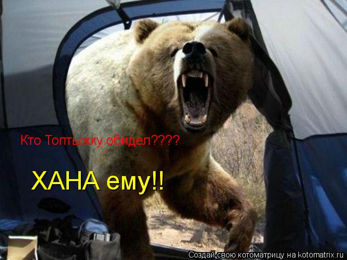 Кто Топтыжку обидел???? ХАНА ему!!... Котоматрица: Кто Топтыжку обидел???? ХАНА ему!!
