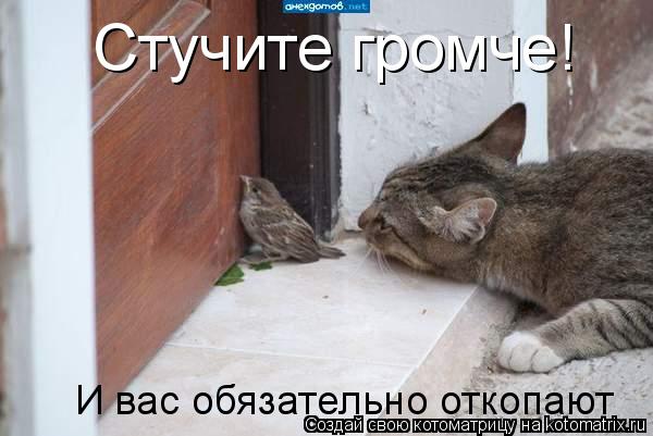 Стучите громче! И вас обязательно откопают... Котоматрица: Стучите громче! И вас обязательно откопают