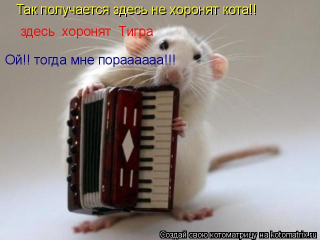 Так получается здесь не хоронят кота!! здесь хоронят Тигра Ой!! тогда мне пораааааа!!!... Котоматрица: Так получается здесь не хоронят кота!! здесь хоронят Тигра Ой!! тогда мне пораааааа!!!