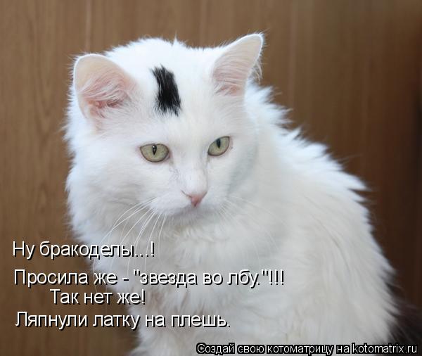 Ну бракоделы...! Просила же - "звезда во лбу."!!! Ляпнули латку на плешь. Так нет же!... Котоматрица: Ну бракоделы...! Просила же - "звезда во лбу."!!! Ляпнули латку на плешь. Так нет же!