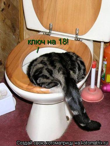 ключ на 18! /... Котоматрица: ключ на 18! /