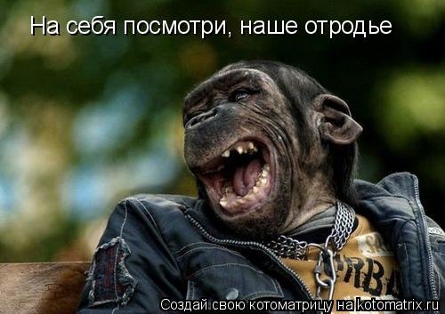 На себя посмотри, наше отродье... Котоматрица: На себя посмотри, наше отродье