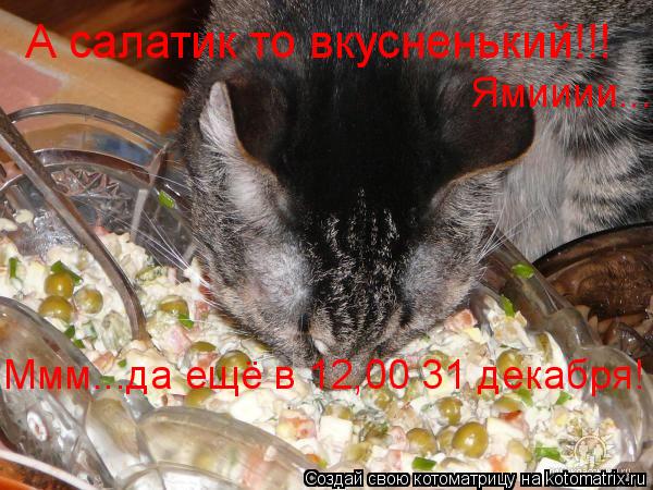 Котоматрица: А салатик то вкусненький!!! Ммм...да ещё в 12,00 31 декабря! Ямииии...
