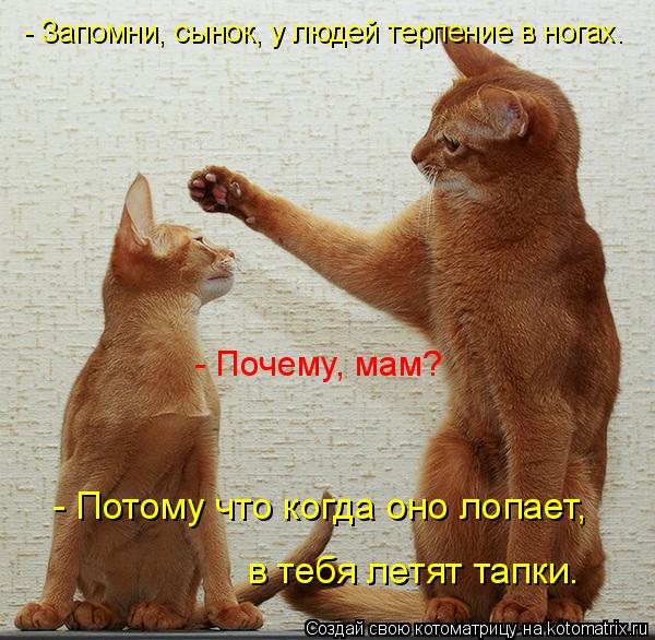 - Запомни, сынок, у людей терпение в ногах. - Почему, мам? - Потому что когда оно лопает, в тебя летя... Котоматрица: - Запомни, сынок, у людей терпение в ногах. - Почему, мам? - Потому что когда оно лопает, в тебя летят тапки.