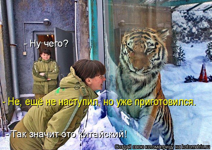 - Так значит это китайский! - Не, ещё не наступил, но уже приготовился. - Ну чего?... Котоматрица: - Так значит это китайский! - Не, ещё не наступил, но уже приготовился. - Ну чего?