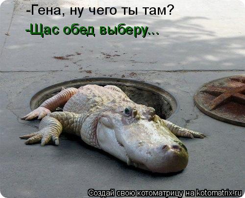 -Гена, ну чего ты там? -Щас обед выберу...... Котоматрица: -Гена, ну чего ты там? -Щас обед выберу...