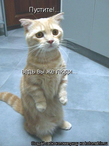 Пустите!... ведь вы же люди...... Котоматрица: Пустите!... ведь вы же люди...