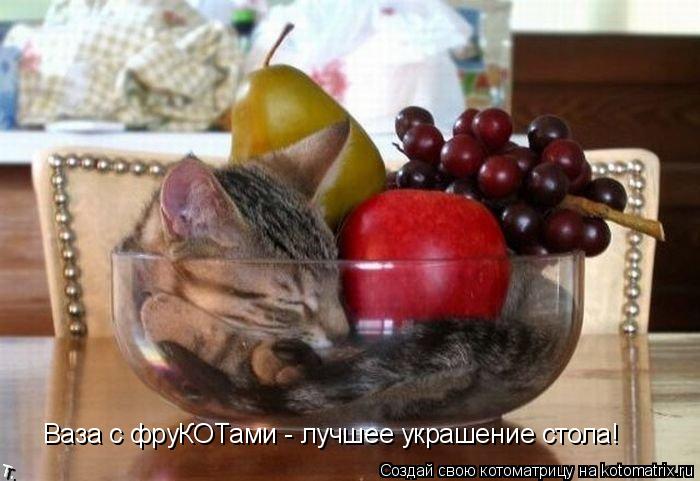 Ваза с фруКОТами - лучшее украшение стола!... Котоматрица: Ваза с фруКОТами - лучшее украшение стола!
