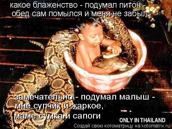 какое блаженство - подумал питон - обед сам помылся и меня не забыл замечательно - подумал малыш - ... Котоматрица: какое блаженство - подумал питон - обед сам помылся и меня не забыл замечательно - подумал малыш - мне супчик и жаркое, маме сумка и сапоги