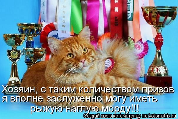 Котоматрица: Хозяин, с таким количеством призов  я вполне заслуженно могу иметь рыжую наглую морду!!!