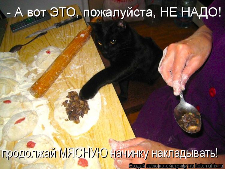 Котоматрица: продолжай МЯСНУЮ начинку накладывать! - А вот ЭТО, пожалуйста, НЕ НАДО!  продолжай МЯСНУЮ начинку накладывать!