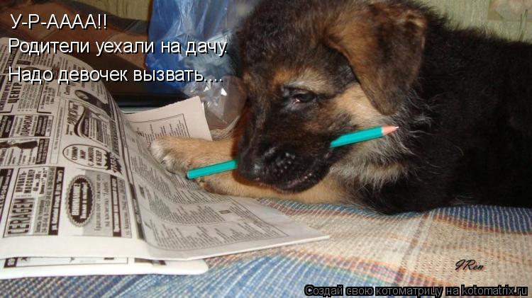 Котоматрица: У-Р-АААА!! Родители уехали на дачу. Надо девочек вызвать....