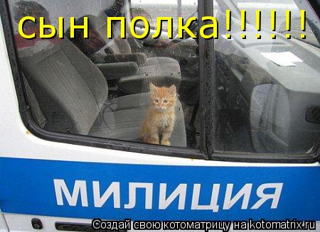 Котоматрица: сын полка!!!!!!