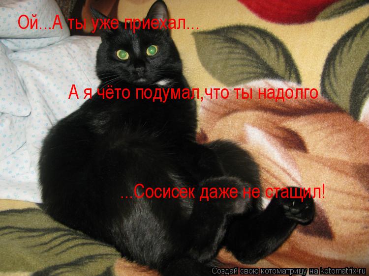 Ой...А ты уже приехал... А я чёто подумал,что ты надолго ...Сосисек даже не стащил!... Котоматрица: Ой...А ты уже приехал... А я чёто подумал,что ты надолго ...Сосисек даже не стащил!
