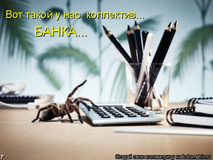 БАНКА... Вот такой у нас коллектив...... Котоматрица: БАНКА... Вот такой у нас коллектив...