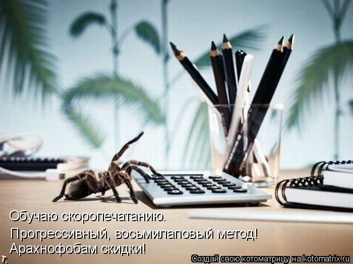 Котоматрица: Прогрессивный, восьмилаповый метод!  Арахнофобам скидки! Обучаю скоропечатанию.