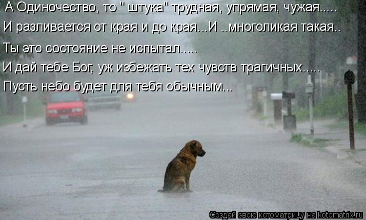 Котоматрица: А Одиночество, то " штука" трудная, упрямая, чужая..... И разливается от края и до края...И ..многоликая такая.. Ты это состояние не испытал..... И да