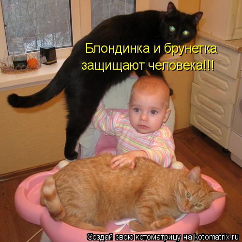 Блондинка и брунетка защищают человека!!!... Котоматрица: Блондинка и брунетка защищают человека!!!