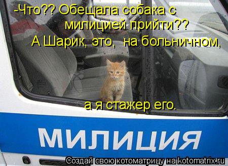 -Что?? Обещала собака с милицией прийти?? А Шарик, это, на больничном, а я стажер его.... Котоматрица: -Что?? Обещала собака с милицией прийти?? А Шарик, это, на больничном, а я стажер его.