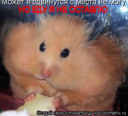 Может я сдвинутся с места не могу НО ЕДУ Я НЕ ОСТАВЛЮ НО ЕДУ Я НЕ ОСТАВЛЮ НО ЕДУ Я НЕ ОСТАВЛЮ НО ЕДУ ... Котоматрица: Может я сдвинутся с места не могу НО ЕДУ Я НЕ ОСТАВЛЮ НО ЕДУ Я НЕ ОСТАВЛЮ НО ЕДУ Я НЕ ОСТАВЛЮ НО ЕДУ Я НЕ ОСТАВЛЮ