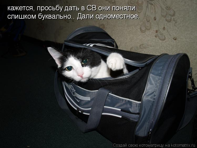 кажется, просьбу дать в СВ они поняли слишком буквально.. Дали одноместное.... Котоматрица: кажется, просьбу дать в СВ они поняли слишком буквально.. Дали одноместное.