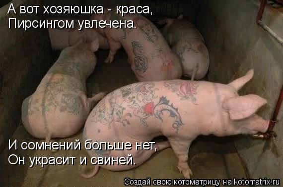 А вот хозяюшка - краса, Пирсингом увлечена. И сомнений больше нет, Он украсит и свиней.... Котоматрица: А вот хозяюшка - краса, Пирсингом увлечена. И сомнений больше нет, Он украсит и свиней.