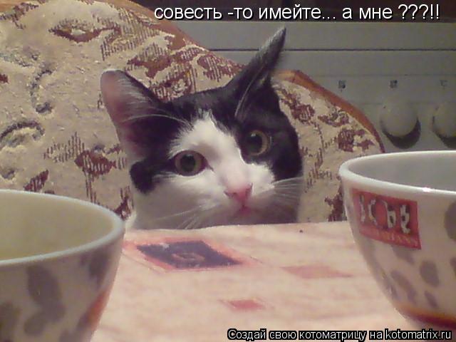 совесть -то имейте... а мне ???!!... Котоматрица: совесть -то имейте... а мне ???!!