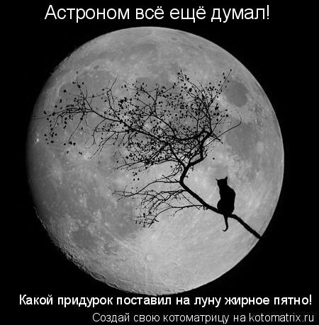 Астроном всё ещё думал! Какой придурок поставил на луну жирное пятно!... Котоматрица: Астроном всё ещё думал! Какой придурок поставил на луну жирное пятно!